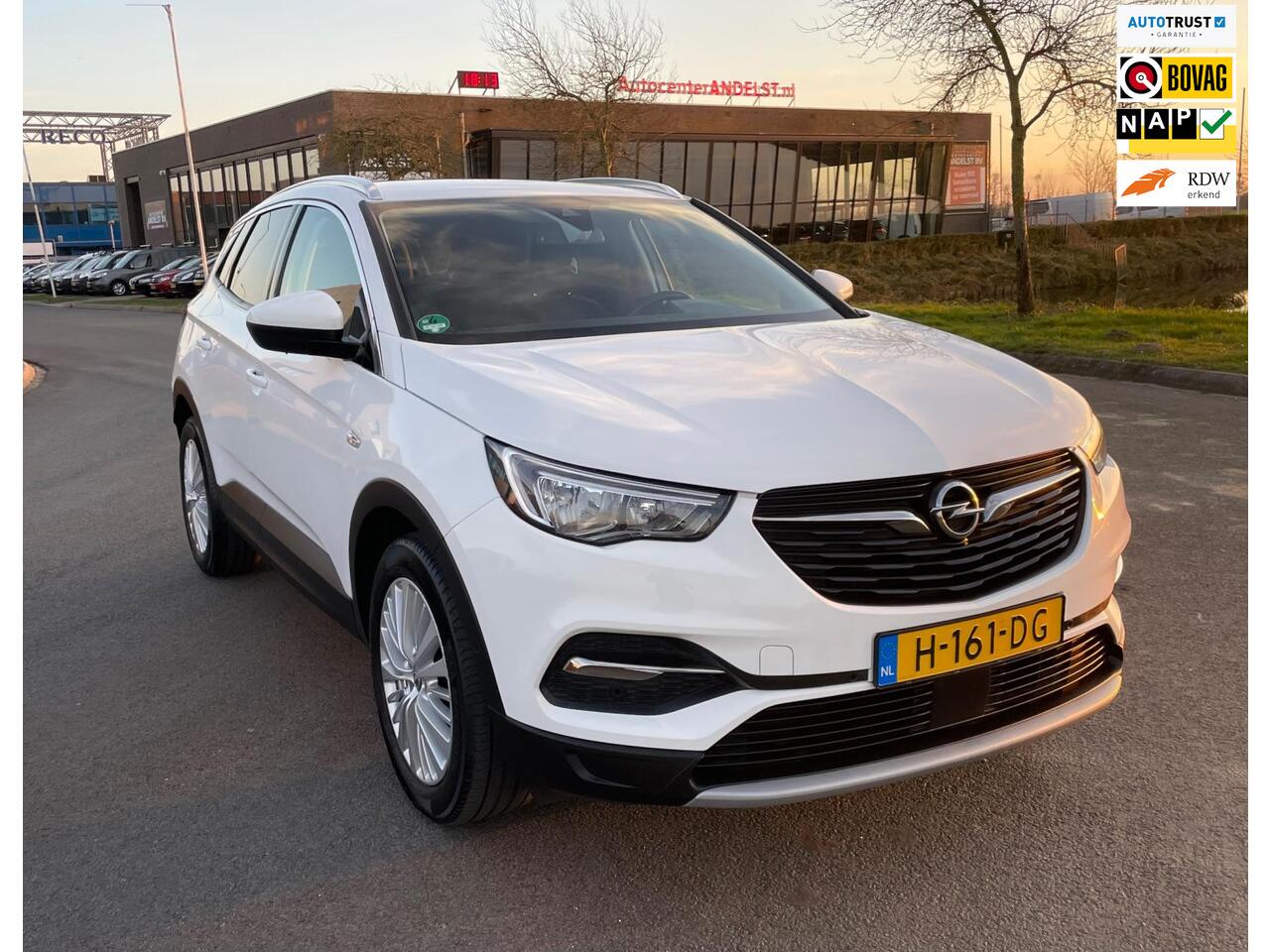 Opel Grandland X 1.2 Turbo Business Executive, Aut, Trekhaak, Cam, 1e eig, Geen import, Nap, Dealer oh!
