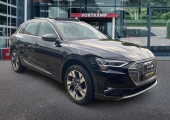 Audi e-tron 50 QUATTRO ADVANCED PANO-DAK/TREKHAAK/LEDER/CAMERA/ACC