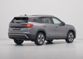 Skoda Kodiaq 1.5 TSI PHEV 204 6DSG Business Edition | Achteruitrijcamera | Crew Protect Assist | Cruise control met speedlimiter