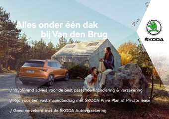 Skoda Karoq Business Edition 1.5 TSI 150pk AUTOMAAT | Achteruitrijcamera | Cruise control | Stoel- & stuurwielverwarming | Navigatie |