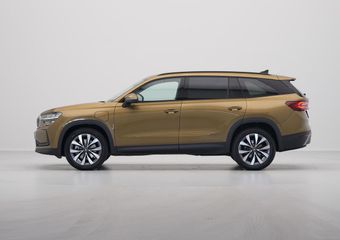Skoda Kodiaq 1.5 TSI PHEV 204 6DSG Business Edition | Achteruitrijcamera | Crew Protect Assist | Cruise control met speedlimiter