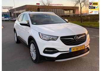 Opel Grandland X 1.2 Turbo Business Executive, Aut, Trekhaak, Cam, 1e eig, Geen import, Nap, Dealer oh!