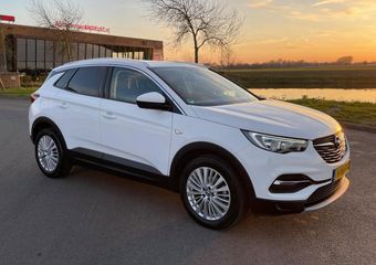 Opel Grandland X 1.2 Turbo Business Executive, Aut, Trekhaak, Cam, 1e eig, Geen import, Nap, Dealer oh!