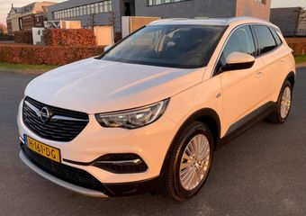 Opel Grandland X 1.2 Turbo Business Executive, Aut, Trekhaak, Cam, 1e eig, Geen import, Nap, Dealer oh!